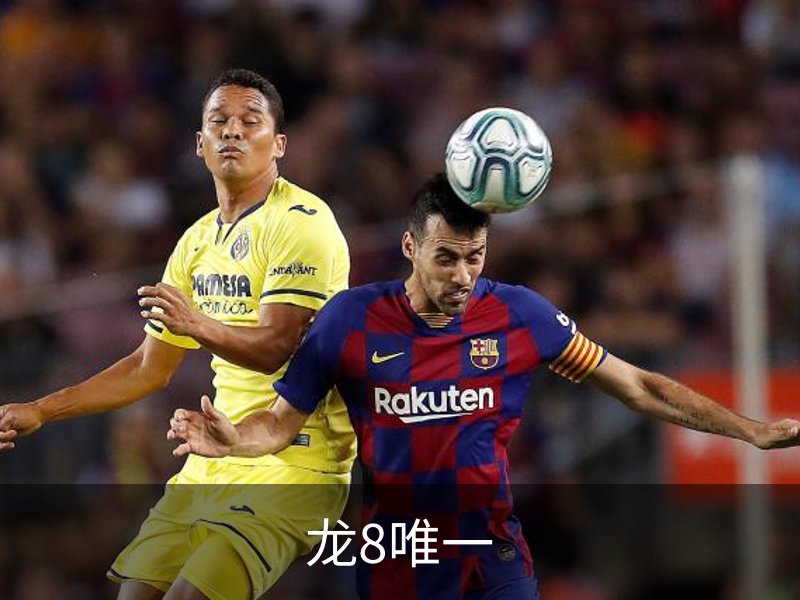 了解龙8唯一